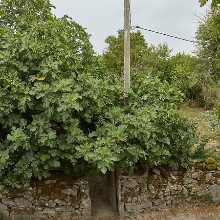 A Cucada Διαμέρισμα Sabariz Εξωτερικό φωτογραφία