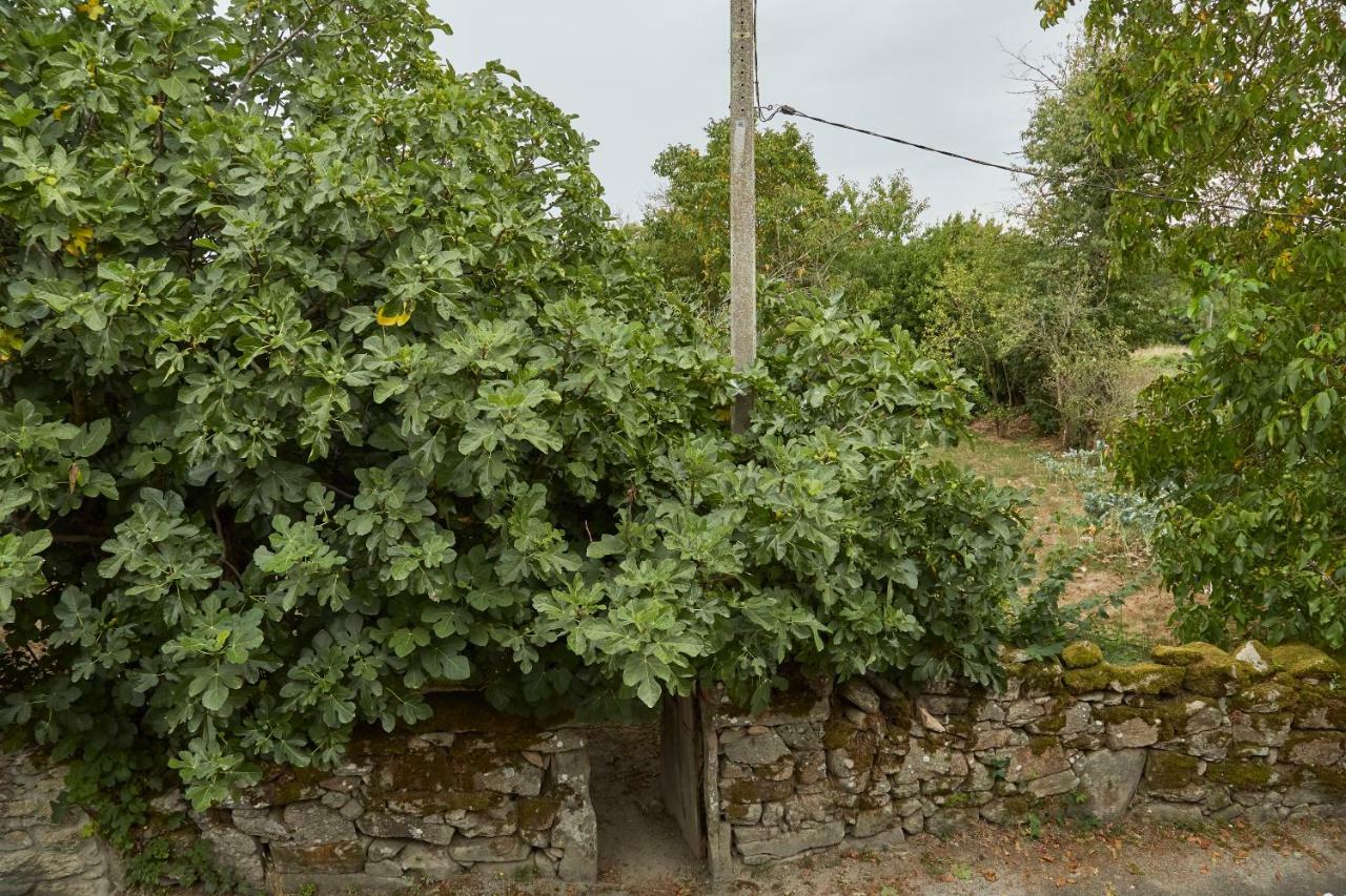 A Cucada Διαμέρισμα Sabariz Εξωτερικό φωτογραφία